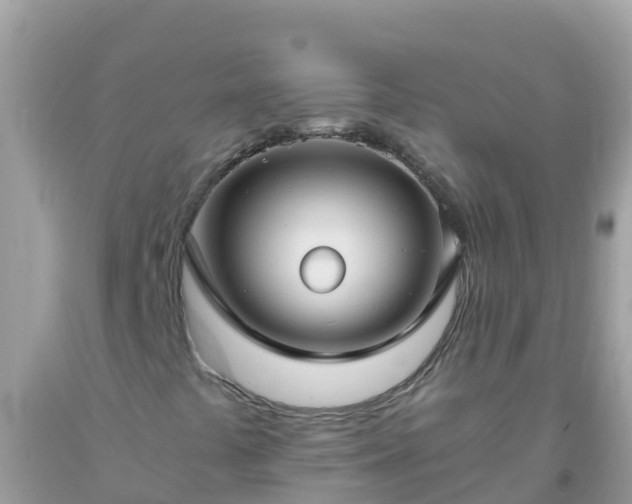 X0000093771441200710231303