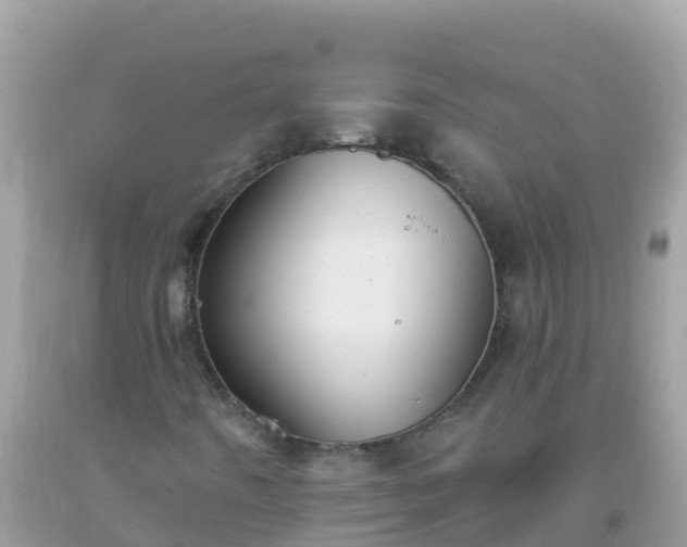 X0000093771442200710231303