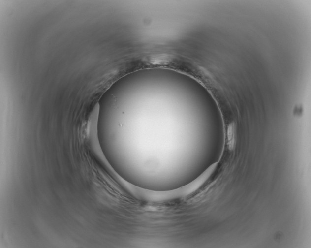 X0000093771443200710231303