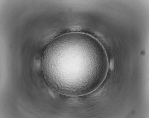 X0000093771444200710231303