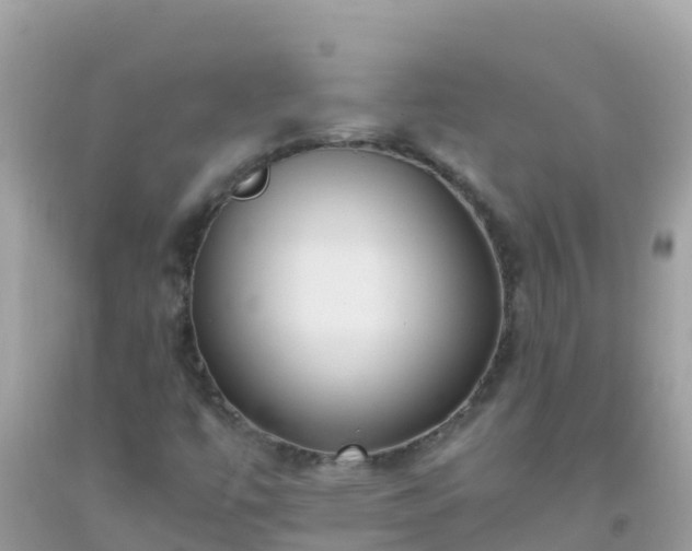 X0000093771447200710231303