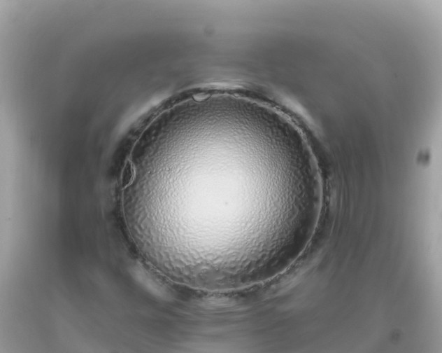 X0000093771448200710231303