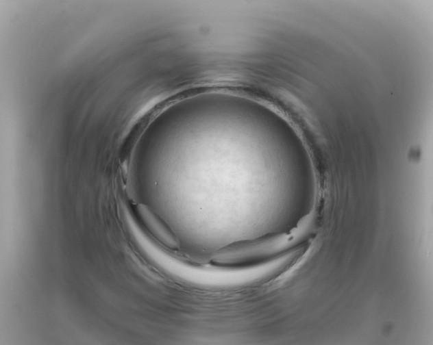 X0000093771449200710231303