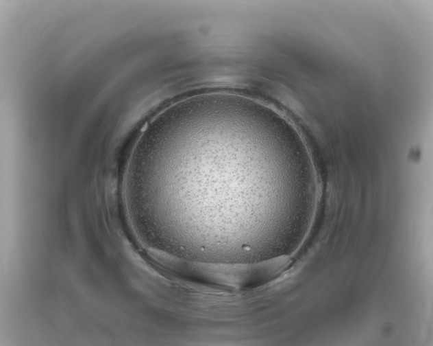 X0000093771450200710231303