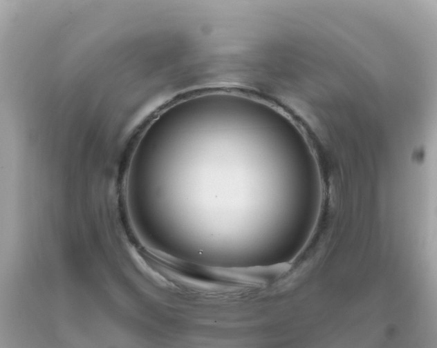 X0000093771452200710231303