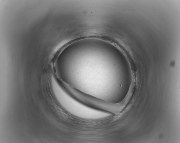 X0000093771453200710231303