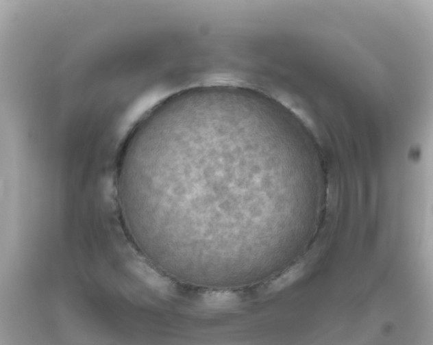 X0000093771454200710231303