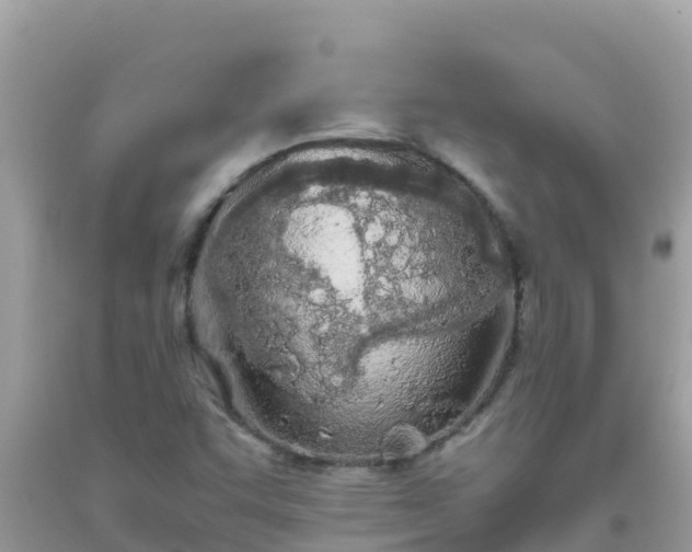 X0000093771455200710231303