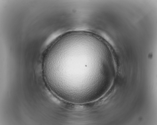 X0000093771456200710231303