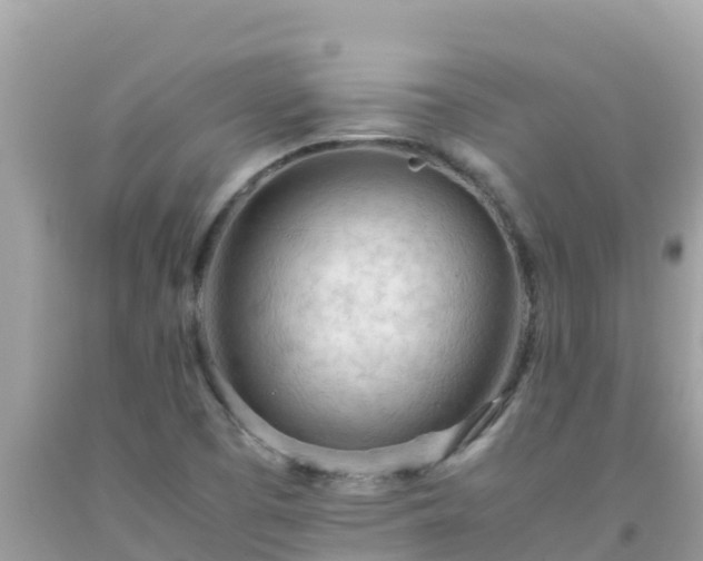 X0000093771457200710231303