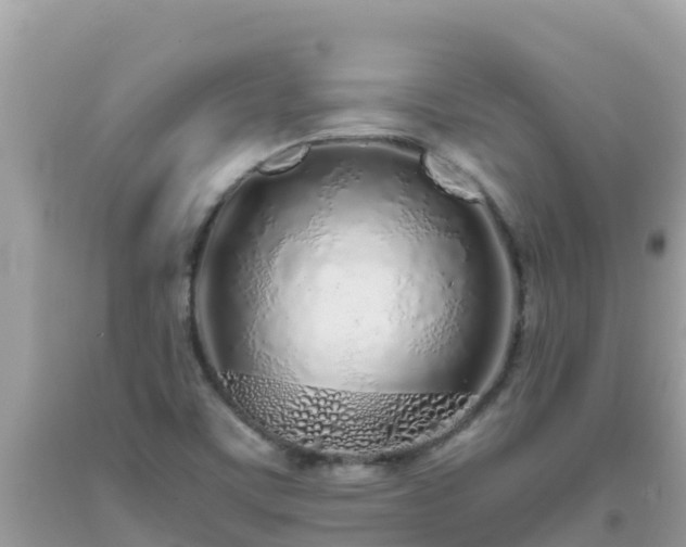 X0000093771459200710231303