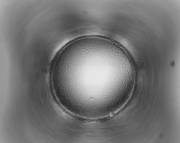 X0000093771460200710231303