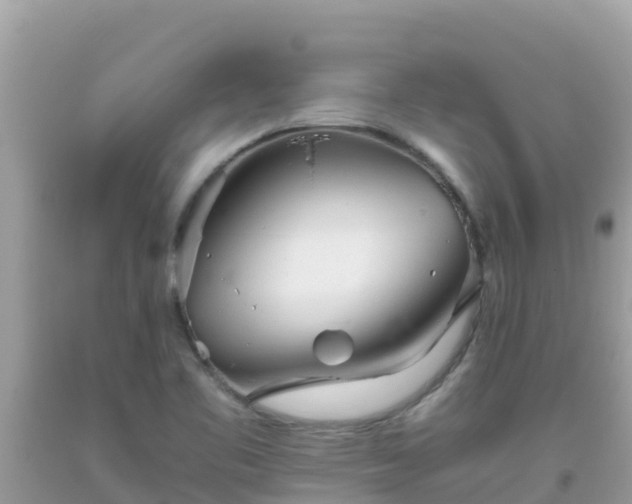 X0000093771461200710231303