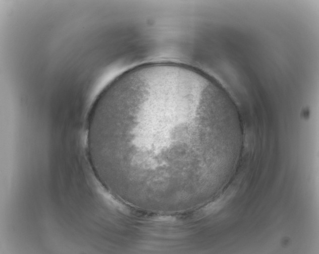 X0000093771462200710231303