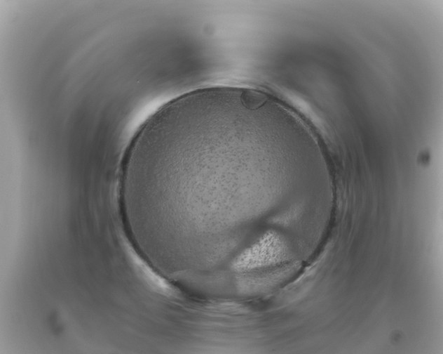 X0000093771463200710231303