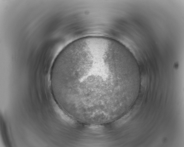 X0000093771466200710231302