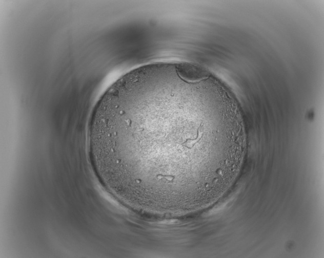 X0000093771467200710231302