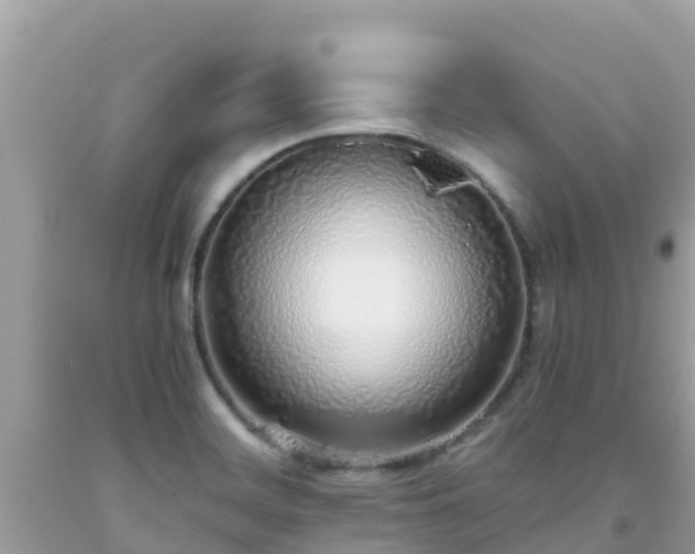 X0000093771468200710231302