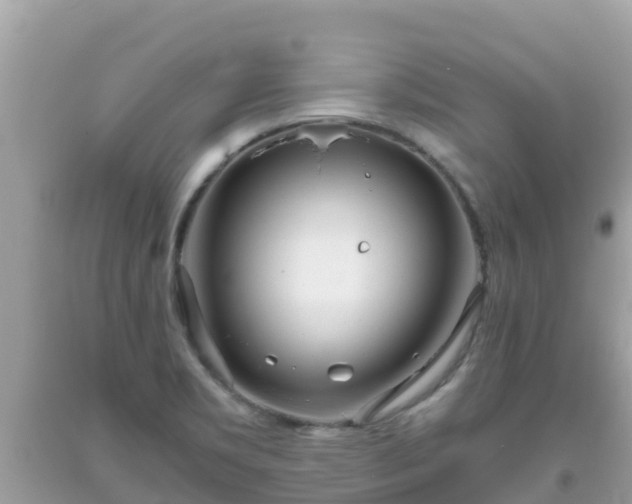 X0000093771469200710231302