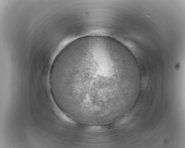 X0000093771470200710231302