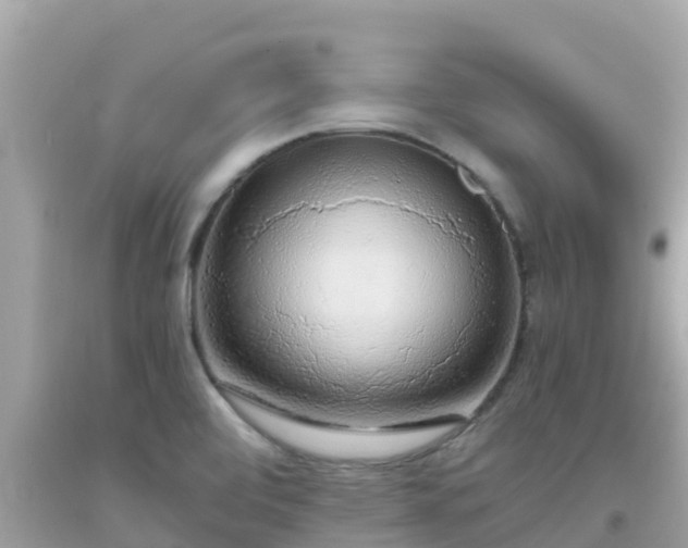 X0000093771472200710231302