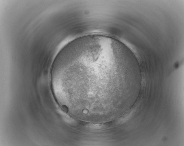 X0000093771474200710231302