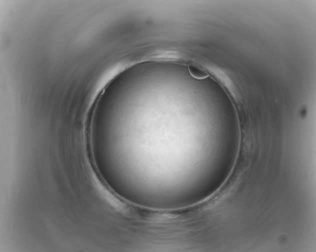 X0000093771475200710231302