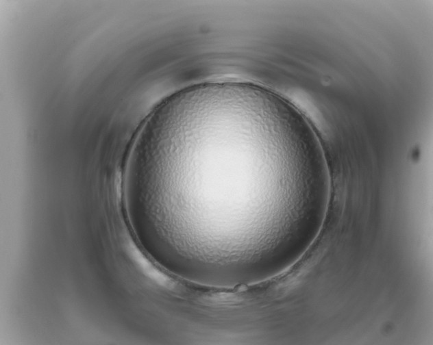 X0000093771476200710231302