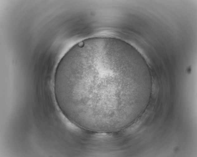 X0000093771478200710231302