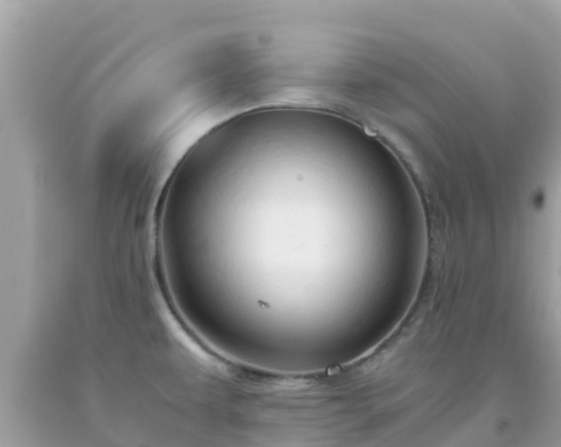 X0000093771479200710231302