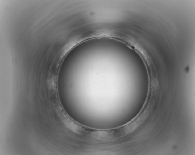 X0000093771481200710231302