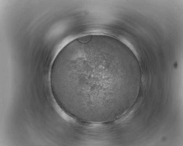X0000093771482200710231302