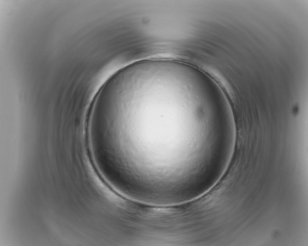 X0000093771483200710231302