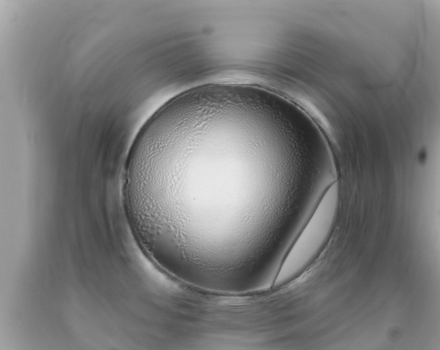 X0000093771484200710231302