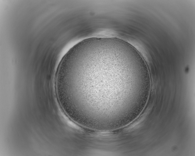 X0000093771486200710231302