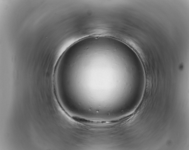 X0000093771487200710231302