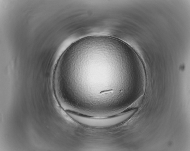 X0000093771488200710231302