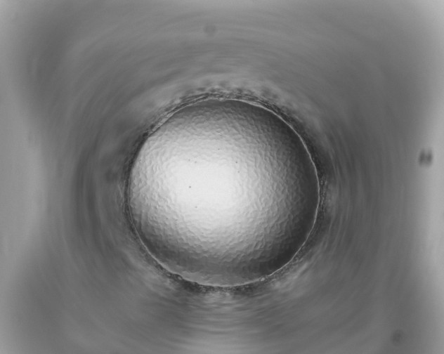 X0000093771489200710231302