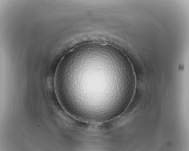 X0000093771490200710231302