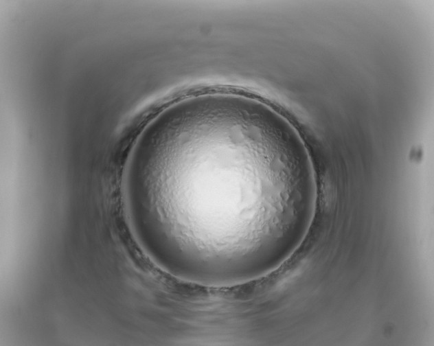 X0000093771494200710231302