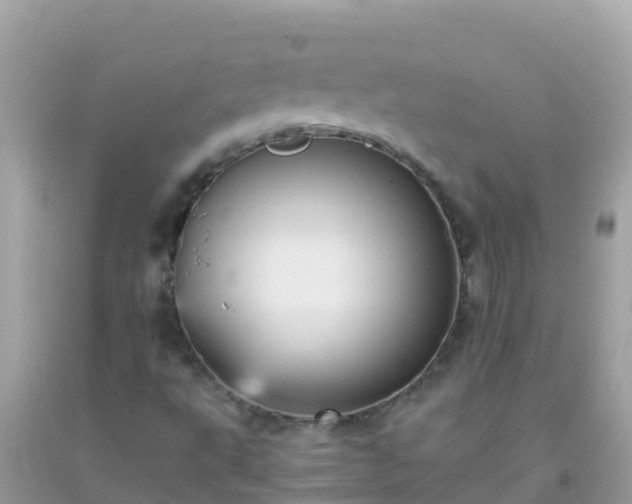 X0000093771495200710231302