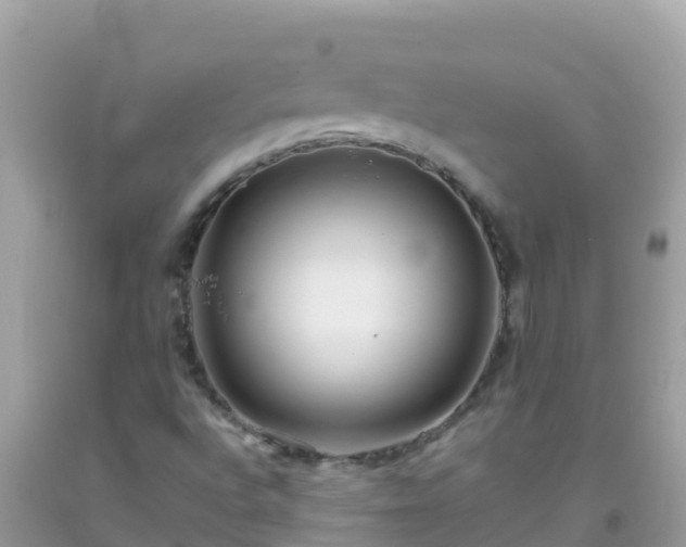 X0000093771496200710231302