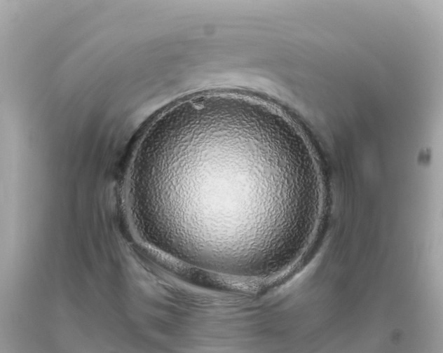 X0000093771497200710231302