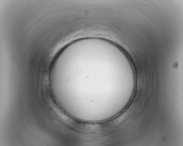 X0000093771498200710231302