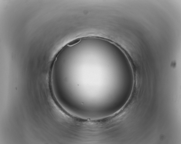 X0000093771500200710231302