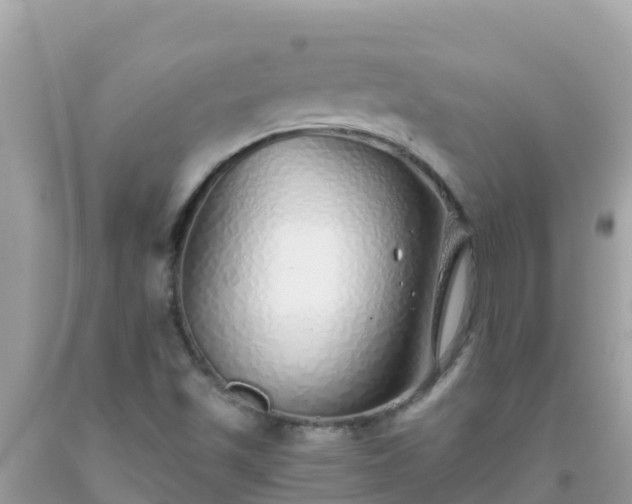 X0000093771501200710231302