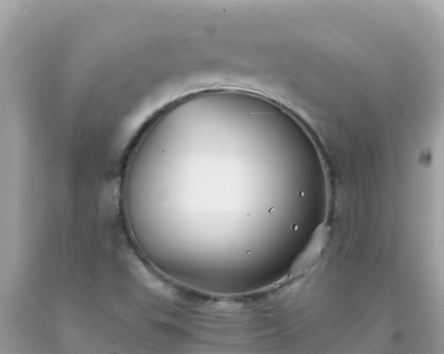 X0000093771503200710231302