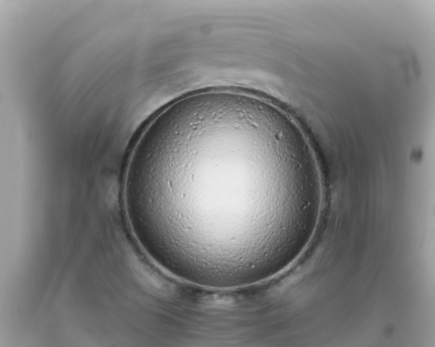 X0000093771505200710231302