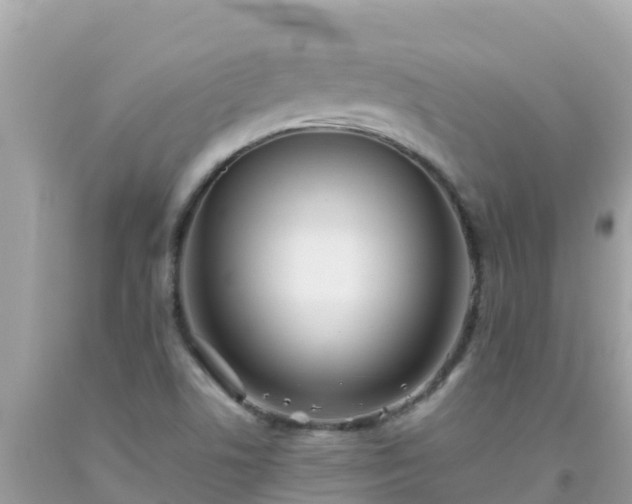 X0000093771506200710231302