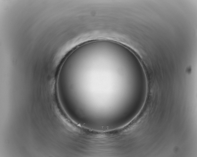 X0000093771507200710231302